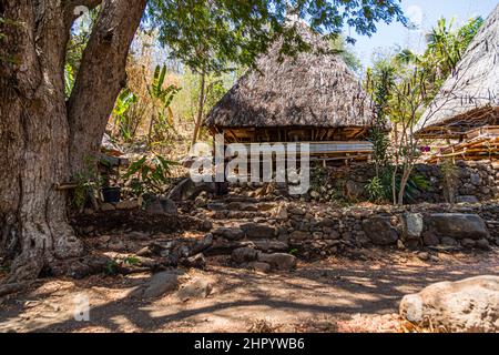 Granai di riso Lumbung sull'isola di Alor in Indonesia, Alor Regency Foto Stock