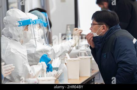 Seul, Corea del Sud. 24th Feb 2022. L'operatore medico sudcoreano prende un campione di tampone nasale da un uomo per i test COVID-19 in un sito di test realizzato localmente a Seoul, Corea del Sud, il 24 febbraio 2022. La Corea del Sud ha segnalato 170.016 nuovi casi COVID-19 a partire dalla mezzanotte di mercoledì rispetto a 24 ore fa, aumentando il numero totale di infezioni a 2.499.188, le autorità sanitarie ha detto Giovedi. (Foto di: Lee Young-ho/Sipa USA) Credit: Sipa USA/Alamy Live News Foto Stock