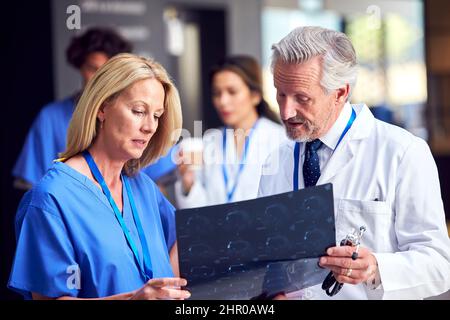 Due medici in camice bianco e scrub che discutono di Patient Scan in Busy Hospital Foto Stock