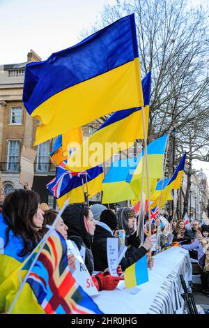 Londra, Regno Unito. 24th Feb 2022. Diverse centinaia di persone si radunano e protestano di fronte a Downing Street a Londra contro l'aggressione della Russia in Ucraina questa sera. Credit: Imagplotter/Alamy Live News Foto Stock