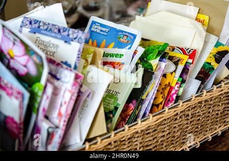 Pacchetti di semi tenuti in modo pegno in un cestino di vimini Foto Stock