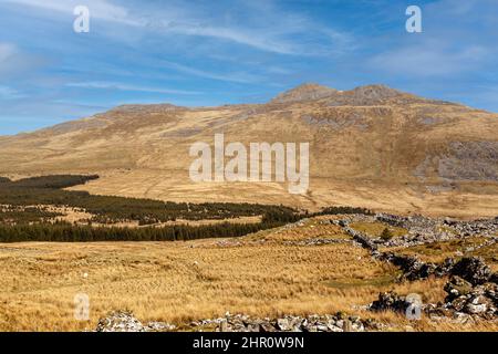 Guardando verso la cima di Arenig Fawr, una delle tante montagne che si trovano nel Parco Nazionale di Snowdonia, Galles Foto Stock