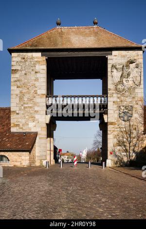 La porta del vino tedesca (Deutsches Weintor) è la porta d'ingresso alla strada del vino tedesco a Schweigen-Rechtenbach, Germania. Foto Stock