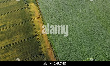 Volo aereo con vista del drone su diversi campi agricoli Foto Stock