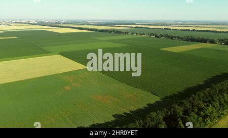 Volo aereo con vista del drone su diversi campi agricoli Foto Stock