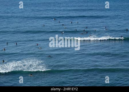 Molti surfisti combattono per le onde al largo della costa di Honolulu, Hawaii. Foto Stock