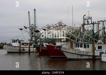 Natanti adibiti alla pesca di gamberetti nel porto di Biloxi, Gulf Coast, Mississippi, STATI UNITI D'AMERICA Foto Stock