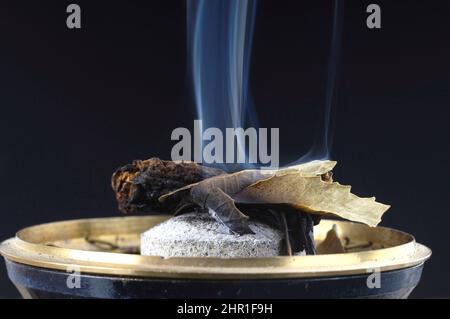 Recipiente dei fumi con Costus e foglia di neem Foto Stock
