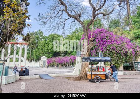 Colonia Condesa, Messico Foto Stock