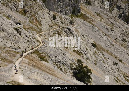 Persone escursionisti sul sentiero delle gole di Cares in estate, Picos de Europa Parco Nazionale Asturias Spagna. Foto Stock