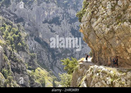 Persone escursionisti sul sentiero delle gole di Cares in estate, Picos de Europa Parco Nazionale Asturias Spagna. Foto Stock