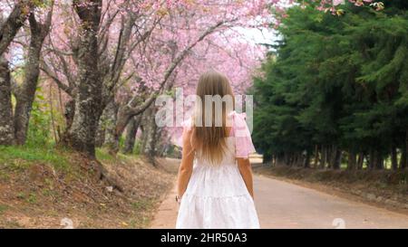 Donna in abito bianco godere sakura fioritura in giardino, primavera ciliegio fiore albero Foto Stock