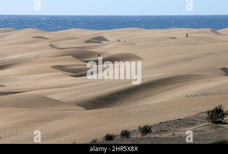 Impressionen: Atlantik, Duenen von Maspalomas/ Playa del Ingles, Gran Canaria, Kanarische Inseln, Spanien/ Impressions: Oceano Atlantico, dune di Maspa Foto Stock