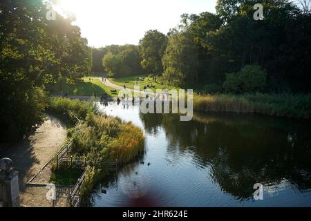 Impressionen - Ententeich, Rudolph-Wilde-Park Berlin-Schoeneberg (nur fuer redaktionelle Verwendung. Keine Werbung. Referenzdatenbank: http://www.360- Foto Stock