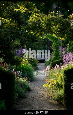 luce del sole in tarda serata su un bordo erbaceo, sedile da giardino, posti a sedere, sedile in legno, panca in legno, sedersi nel giardino cottage, giardino, giardini, posto a sedere giardino focale p Foto Stock