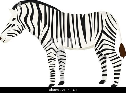 Zebra in stile piatto isolato su sfondo bianco Illustrazione Vettoriale