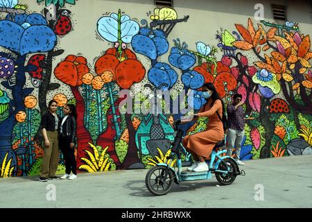 New Delhi, India. 25th Feb 2022. Le persone scattano foto di fronte a un murale sul muro presso la stazione della metropolitana di Mandi House a New Delhi, India, il 25 febbraio 2022. (Foto di Ravi Batra/Sipa USA) Credit: Sipa USA/Alamy Live News Foto Stock