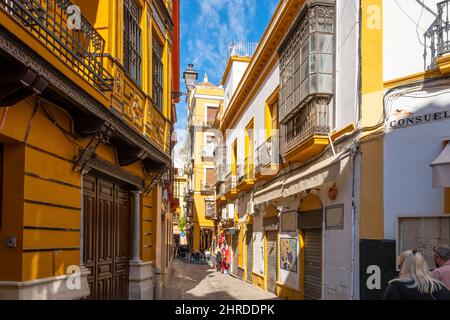 Tipico colore andaluso e architettura su edifici residenziali e commerciali nel colorato quartiere Barrio Santa Cruz di Siviglia, Spagna. Foto Stock
