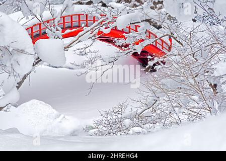 Un ponte rosso sepolto nella neve nella foresta, Yokote, Prefettura di Akita, Giappone Foto Stock