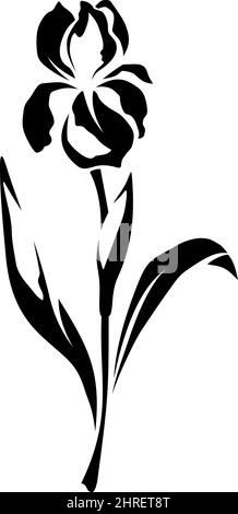 Fiore dell'iride. Immagine vettoriale in bianco e nero isolata su sfondo bianco Illustrazione Vettoriale