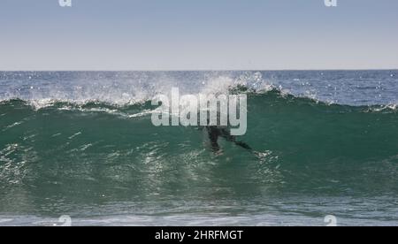 Body boarding in surf, Cornovaglia. Boarder visibile attraverso l'onda di rottura. Foto Stock