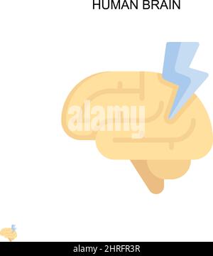 Icona del vettore semplice del cervello umano. Modello di disegno del simbolo di illustrazione per l'elemento dell'interfaccia utente mobile Web. Illustrazione Vettoriale