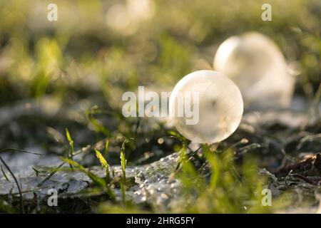 Closeup shot of a frozen soap bubble in winter Stock Photo