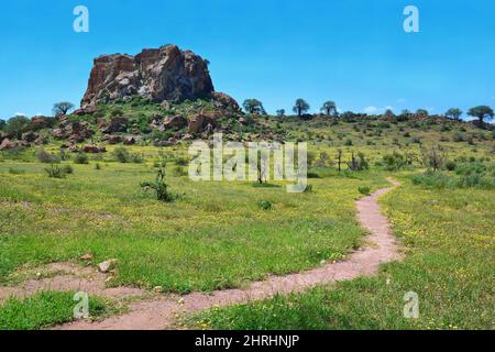 Paesaggio nel Parco Nazionale di Mapungubwe, Sudafrica. Foto Stock