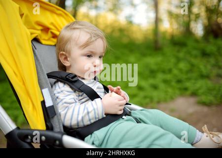 Dolce ragazzo bambino seduto in un passeggino all'aperto. Bambino piccolo in pram. Bambino in passeggino. Passeggiate estive con bambini. Divertimento in famiglia con Little ch Foto Stock