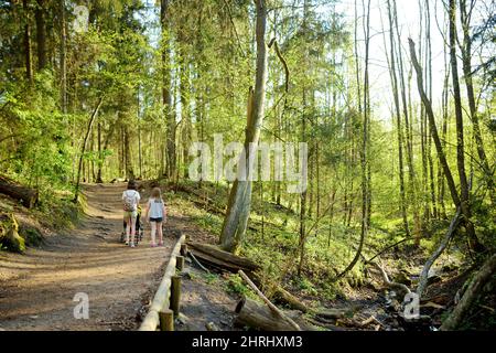 Le sorelle più anziane che camminano in un parco con il fratello del bambino in passeggino. Ragazza che spinge un passeggino per il fratello infantile. Famiglia attiva all'aperto. Foto Stock