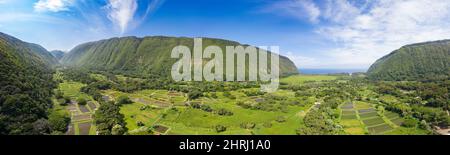 Vista panoramica aerea (composta da punti) della Waipio Valley sull'aspra costa nord-orientale dell'Isola delle Hawaii (la Grande Isola), che mostra lo'i o Hawaiia Foto Stock