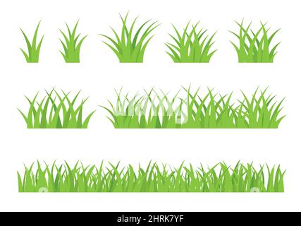 Primavera verde erba isolato su sfondo bianco. Bordi erba impostati. Illustrazione Vettoriale