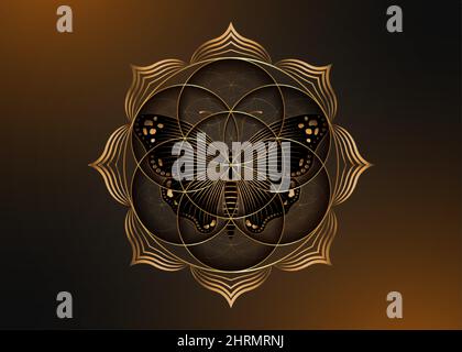 Seme fiore della vita icona di loto e farfalla magica nera, yantra mandala geometria sacra, simbolo d'oro di armonia ed equilibrio. Talismano mistica Illustrazione Vettoriale