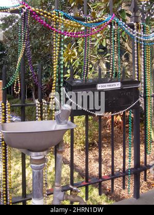 Casa di New Orleans che offre delizie per cani durante la stagione del Mardi Gras. Foto Stock