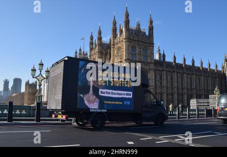 Londra, Inghilterra, Regno Unito. 25th Feb 2022. Un pulmino passa davanti alle Camere del Parlamento, con un'immagine del processo orribile a cui vengono sottoposte anatre e oche, per produrre foie gras, insieme al messaggio 'Jacob Rees-Mogg, Get Stuffed! Ban Foie Gras importa ora!" L'azione è stata messa in scena dall'organizzazione per i diritti degli animali PETA in risposta alla proposta del governo britannico di invertire il divieto di importazione del foie gras. (Credit Image: © Vuk Valcic/ZUMA Press Wire) Foto Stock