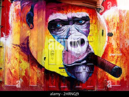 Artista rendering di un gorilla fumare un sigaro sulla porta di una casa di artis Noé-Two a l'Avana, Cuba. Foto Stock