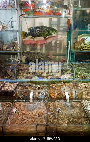 Pesce vivo, tra cui cernie a rischio di estinzione, e frutti di mare in mostra per essere cucinati su ordinazione in vasche all'esterno di un ristorante sul lungomare Sai Kung, Hong Kong Foto Stock