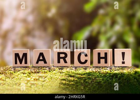 Marzo è una parola fatta di cubi per bambini con lettere in una foresta verde in una giornata di sole. L'inizio imminente è l'avvicinamento del primo mese di sprin Foto Stock