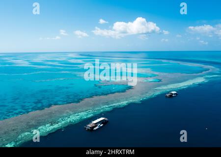 Reef World sulla Grande barriera Corallina, Queensland, Australia Foto Stock