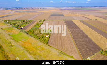 Sopra vista su campi agricoli, frutteto giovane, piantagione tra terreni coltivati vuoti. Foto Stock