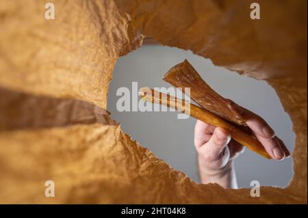 Una mano mette un regalo dell'animale domestico in un sacchetto di carta.Una mano dell'uomo maturo tiene i tendini secchi di manzo per i cani sopra un sacchetto marrone aperto. Scatto dal basso verso l'alto. Chiudi Foto Stock