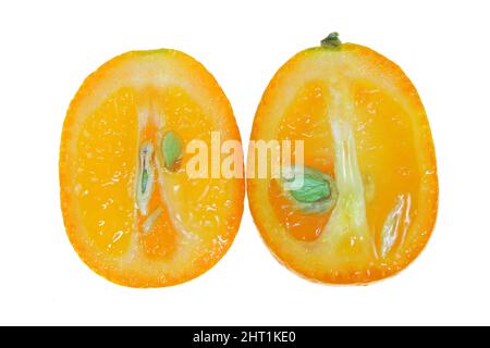 Affettato kumquat succosa isolato su bianco, macro primo piano. Foto Stock
