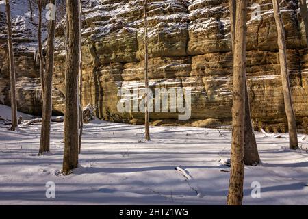 Neve fresca in una bella mattinata di sole nell'area dell'Illinois Canyon. Parco statale di Starved Rock, Illinois, Stati Uniti. Foto Stock