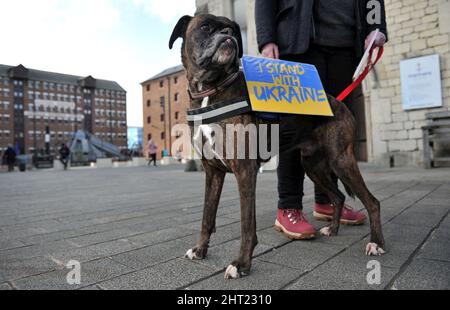 SID il cane pugile. In tutto il mondo lo shock della guerra in Ucraina si sta trasformando in rabbia e protesta. La manifestazione per la pace sta avvenendo intorno al Foto Stock