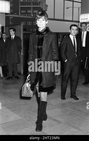 La star del cinema Audrey Hepburn ha raffigurato all'aeroporto di Heathrow prima di partire per la sua casa in Svizzera. 5th novembre 1966. Foto Stock