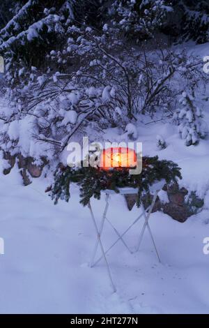 Lanterna di ghiaccio con rametti di barbacca Foto Stock