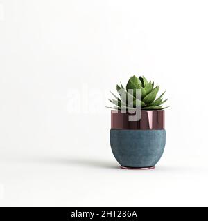 Pianta succulenta in vaso di lusso isolato su sfondo chiaro Foto Stock