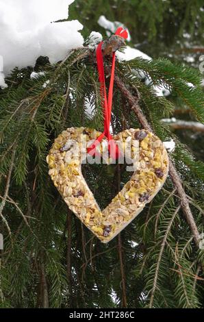 Cuore con le delizie dell'uccello Foto Stock