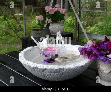 Bagno di uccelli con mini fontana Foto Stock