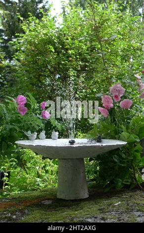 Bagno di uccelli con mini fontana Foto Stock